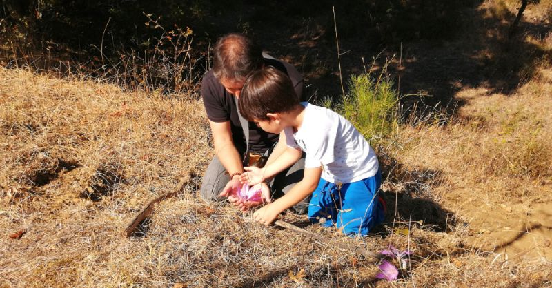 Yaşam seyrinde yoldaş bir baba: Nazım Tanrıkulu