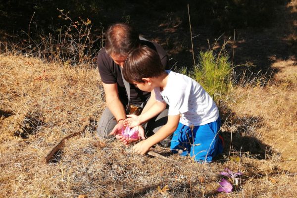 Yaşam seyrinde yoldaş bir baba: Nazım Tanrıkulu