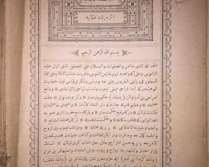 YAZMA ESERLERDEKİ TÜRKÇE BİTKİ ADLARI ÜZERİNE YAPILAN BAZI ARAŞTIRMALARA DAİR BİR İNCELEME