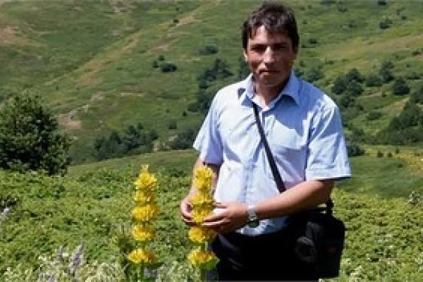 Genetiana lutea bitkisini çok özlediğim aklıma geldi sabah sabah. Dedim o vakit …