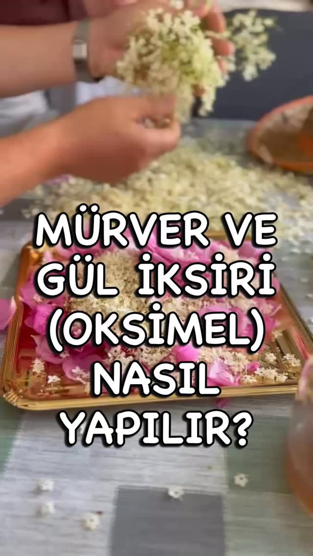 Batıda oksimel, bizde ise sirkencübin (Farsça kökenli bir kelime olup “sirke” (s…