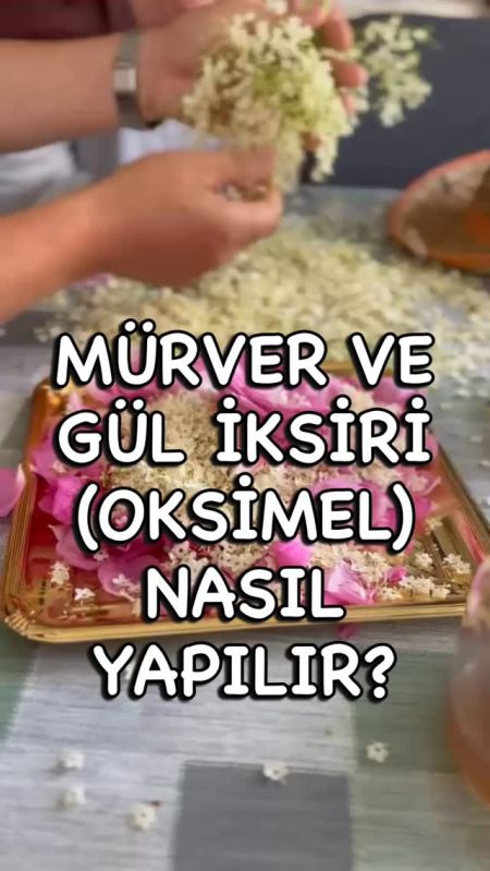 Batıda oksimel, bizde ise sirkencübin (Farsça kökenli bir kelime olup “sirke” (s…